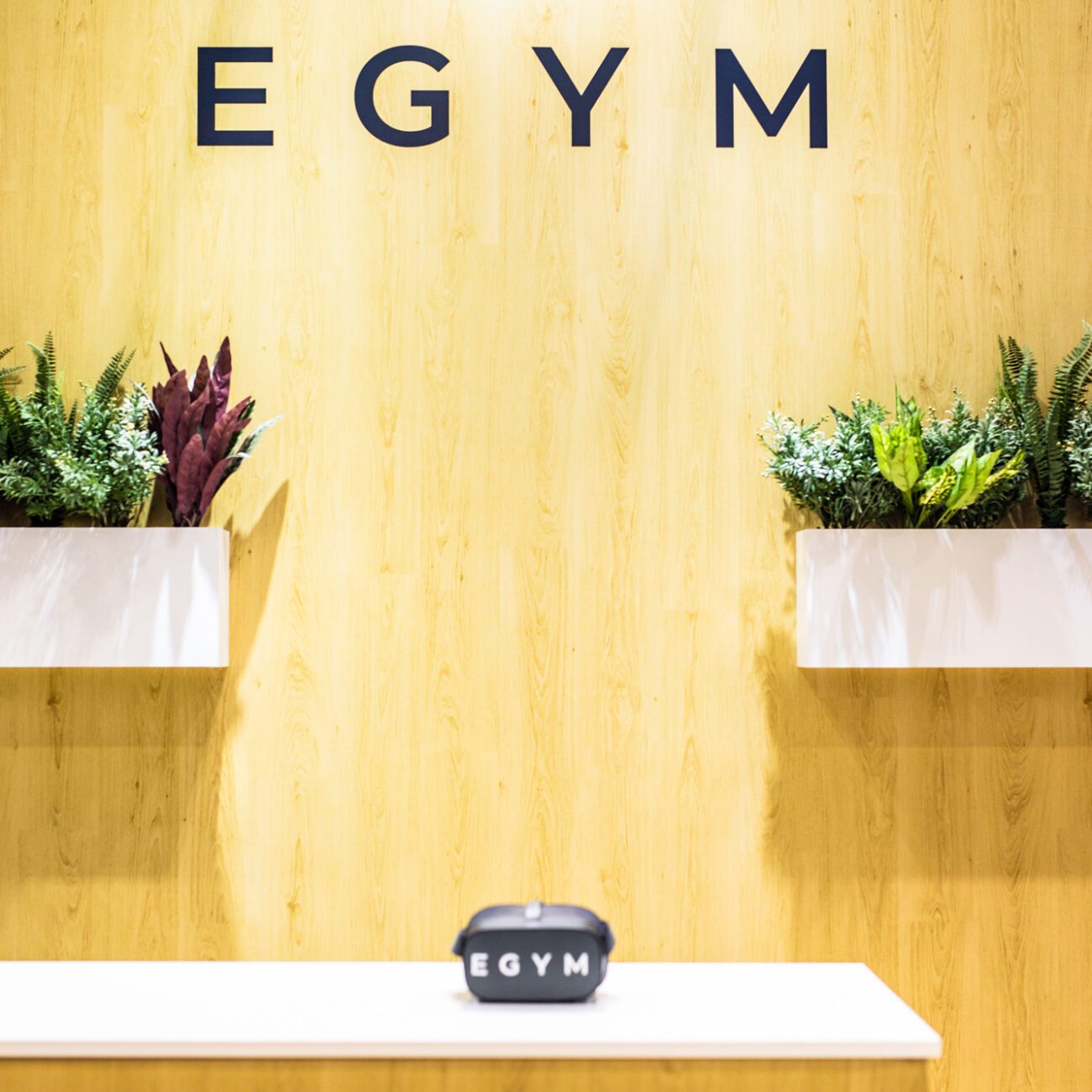 EGYM exhibition stand at Elevate. Close up on their wall mounted planters