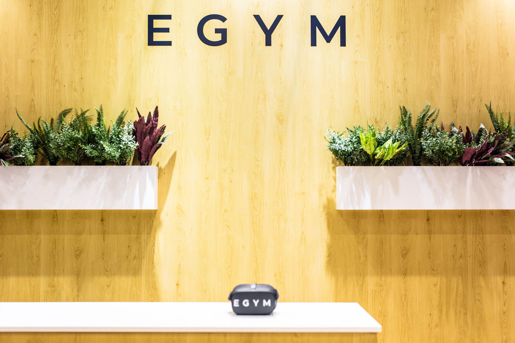 EGYM exhibition stand at Elevate. Close up on their wall mounted planters